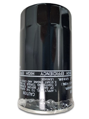 FUEL FILTER HYUNDAI RJJ 129A00-55800