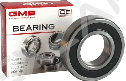 DAMAS POLOUS PODSHIPNIK (GMB) 6207 KOREA