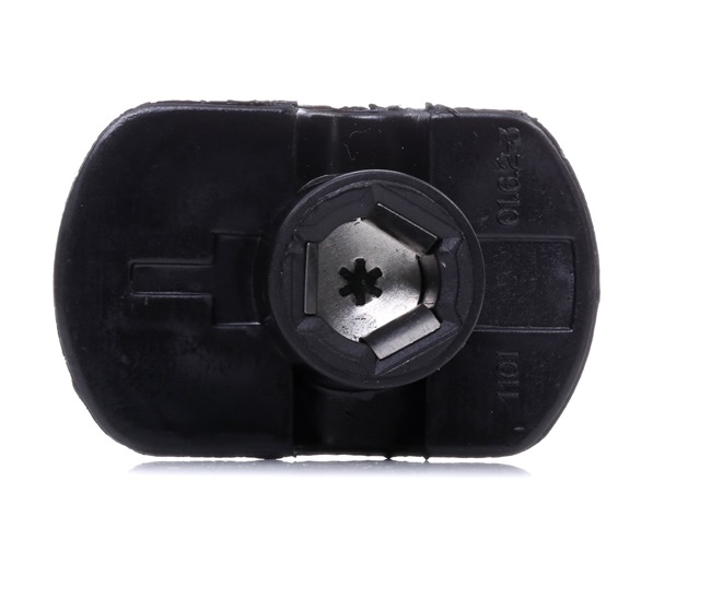 DAMAS, TIKO BEGUNOK KOREA