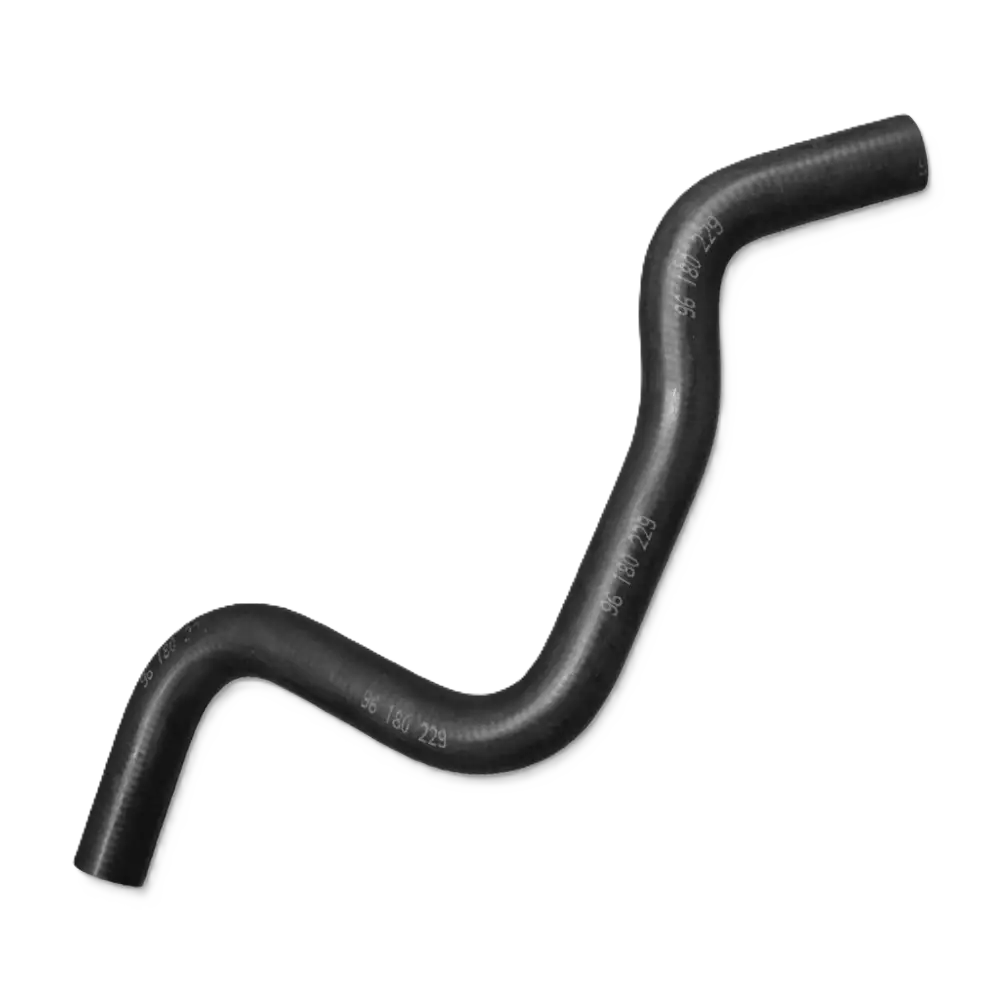 NEKSIYA BACHOK SHLANG KOREA