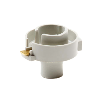 NEKSIYA BEGUNOK KOREA