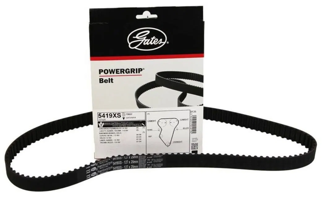 NEKSIYA DONS ZUBCHAT REMEN (POWERGRIP 5419)