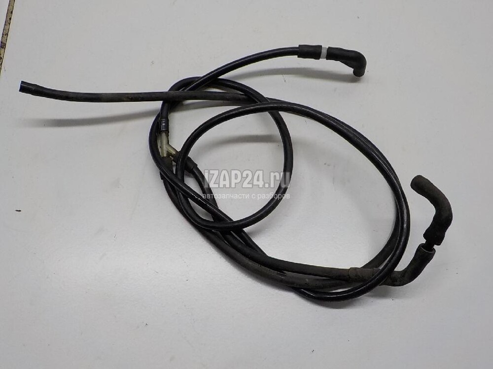 NEKSIYA DVORNIK SHLANG XITOY