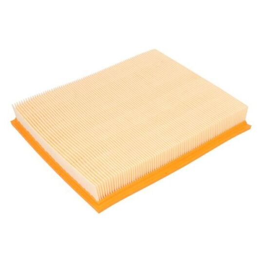 NEKSIYA HAVO FILTR (GOLDEN CAYMONT)