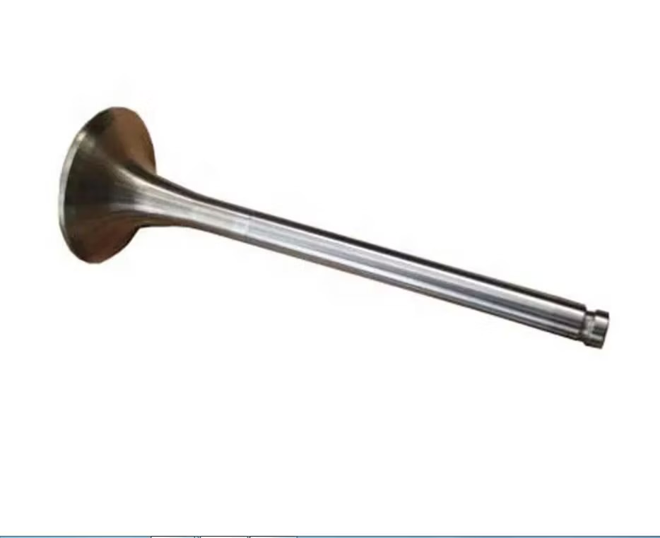 KLAPAN 0025 2 KLAPAN SALYARKA HOWO SHACMAN 612600050025