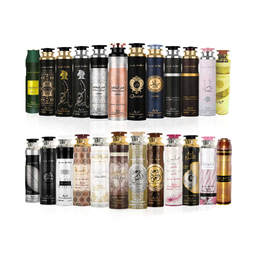 SALON SPREY DIRHAM DUBAI 300ML